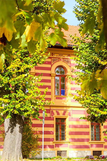 Austrougarski period