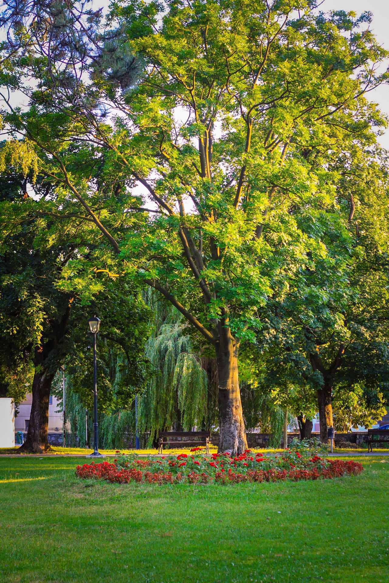 Park